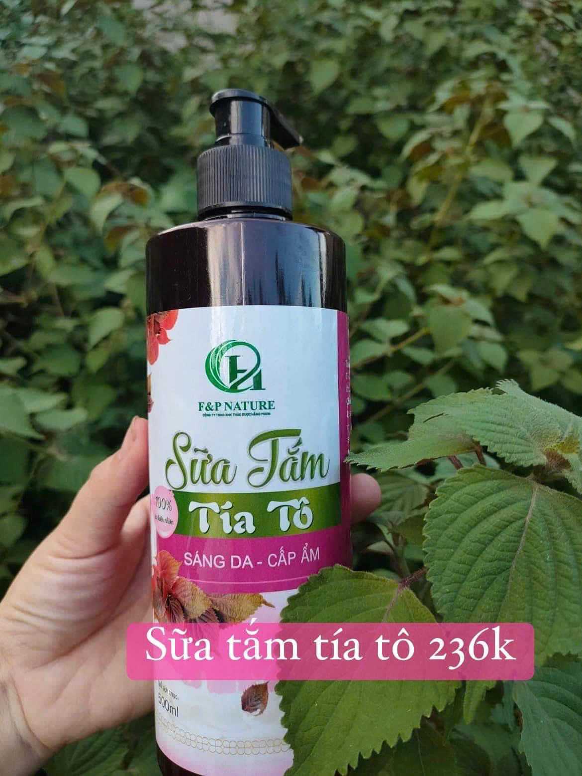 Sữa tắm tía tô