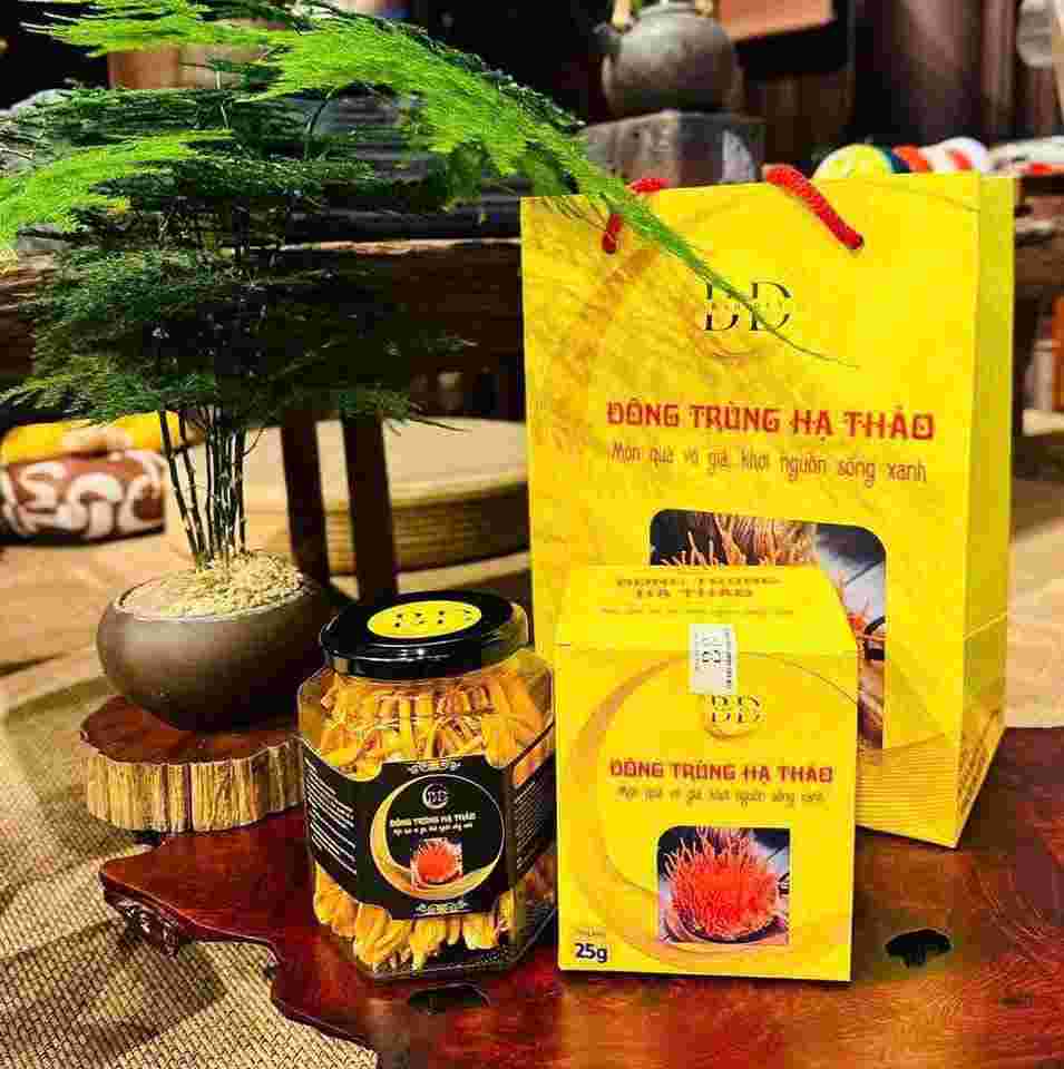 Đông trùng hạ thảo BD